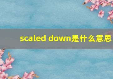 scaled down是什么意思